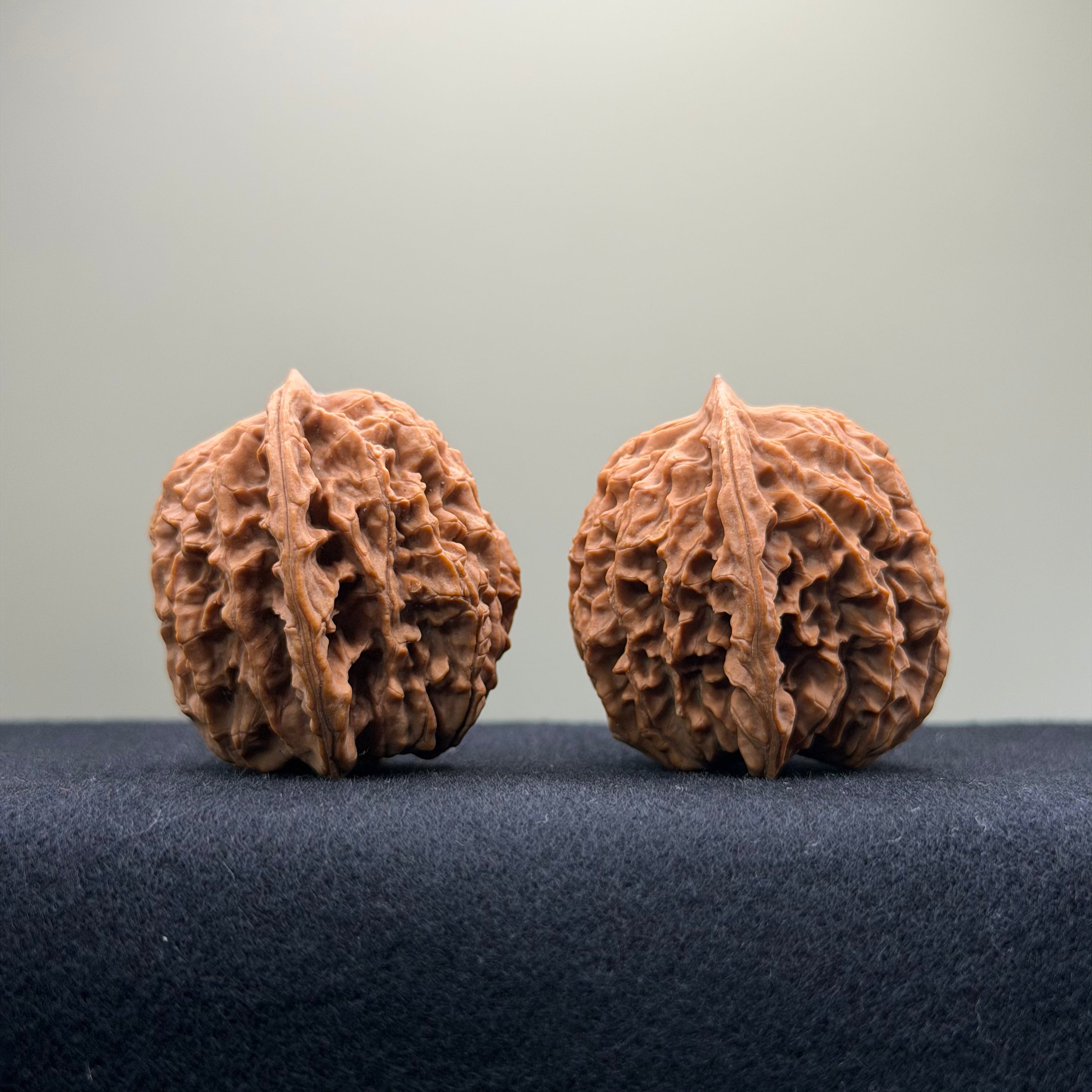 Coiled Dragon Pattern Wenwan Walnut · 39mm · Natural · Entry Ritual
