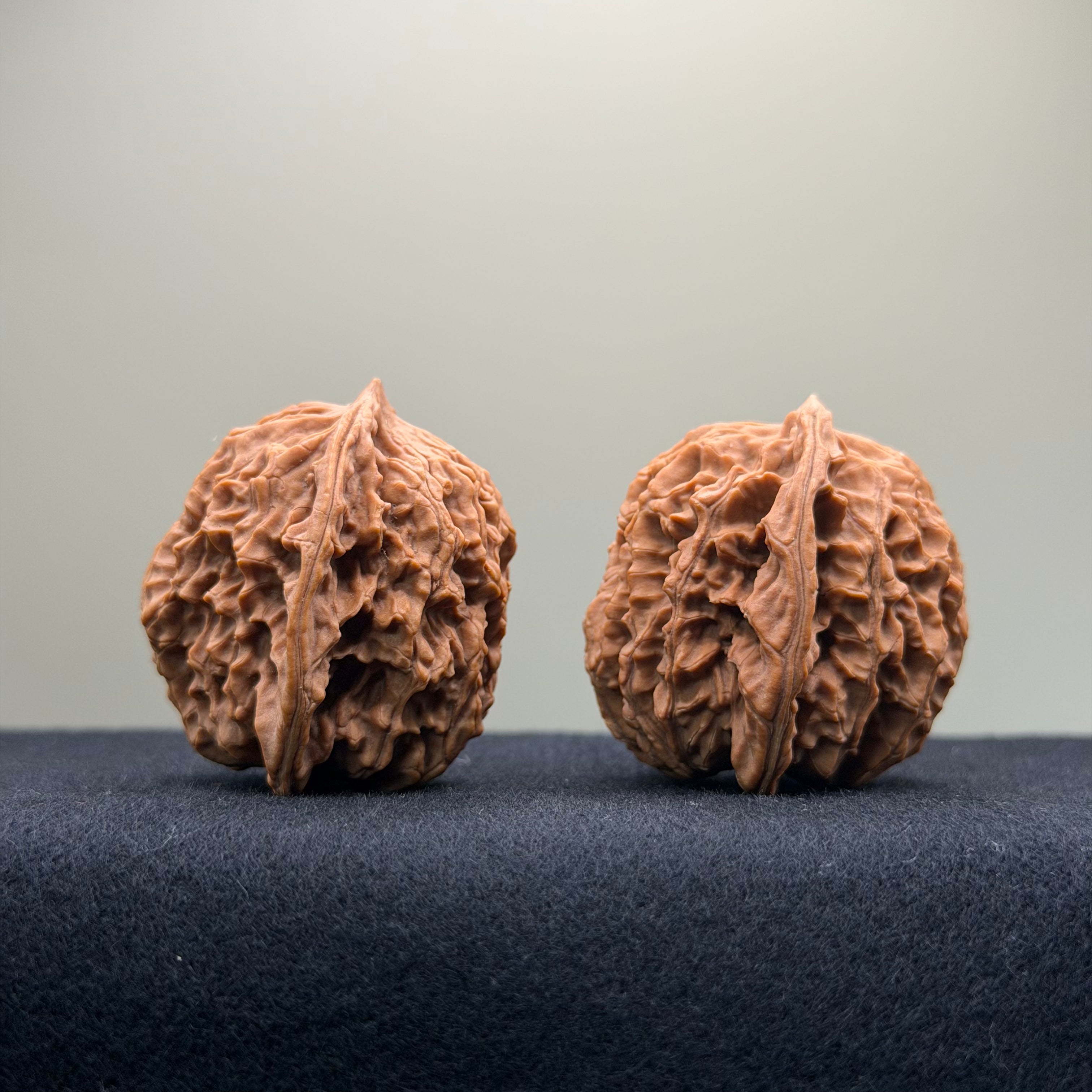 Coiled Dragon Pattern Wenwan Walnut · 39mm · Natural · Entry Ritual