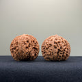 Coiled Dragon Pattern Wenwan Walnut · 37mm · Natural · Entry Ritual