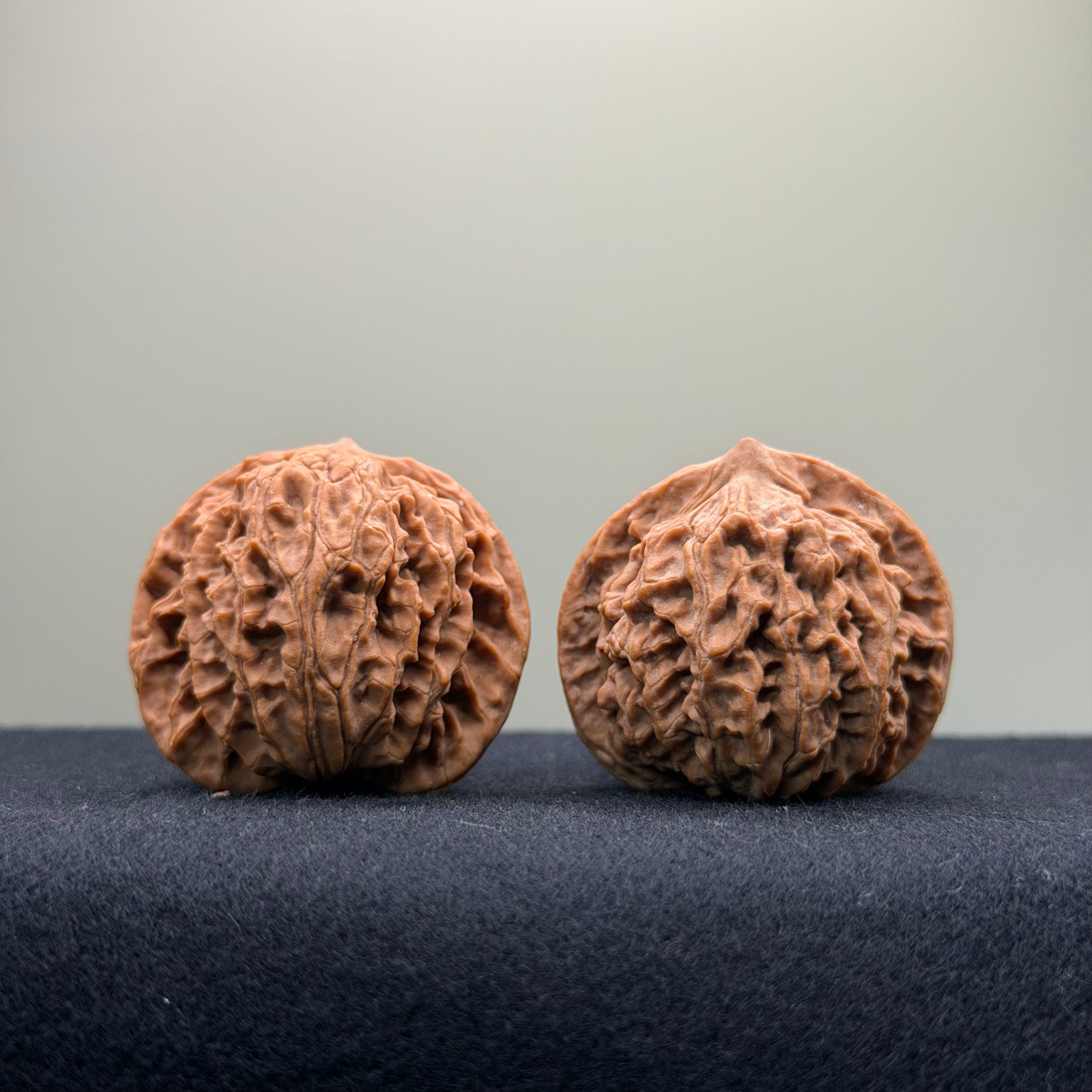 Coiled Dragon Pattern Wenwan Walnut · 37mm · Natural · Entry Ritual