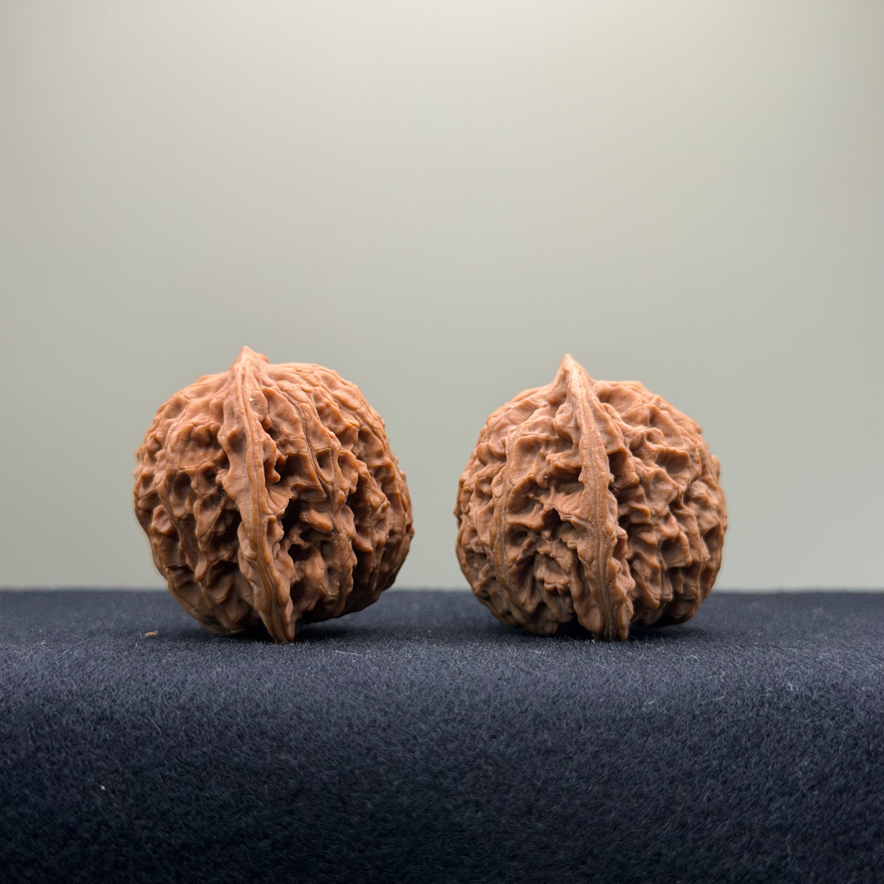 Coiled Dragon Pattern Wenwan Walnut · 37mm · Natural · Entry Ritual