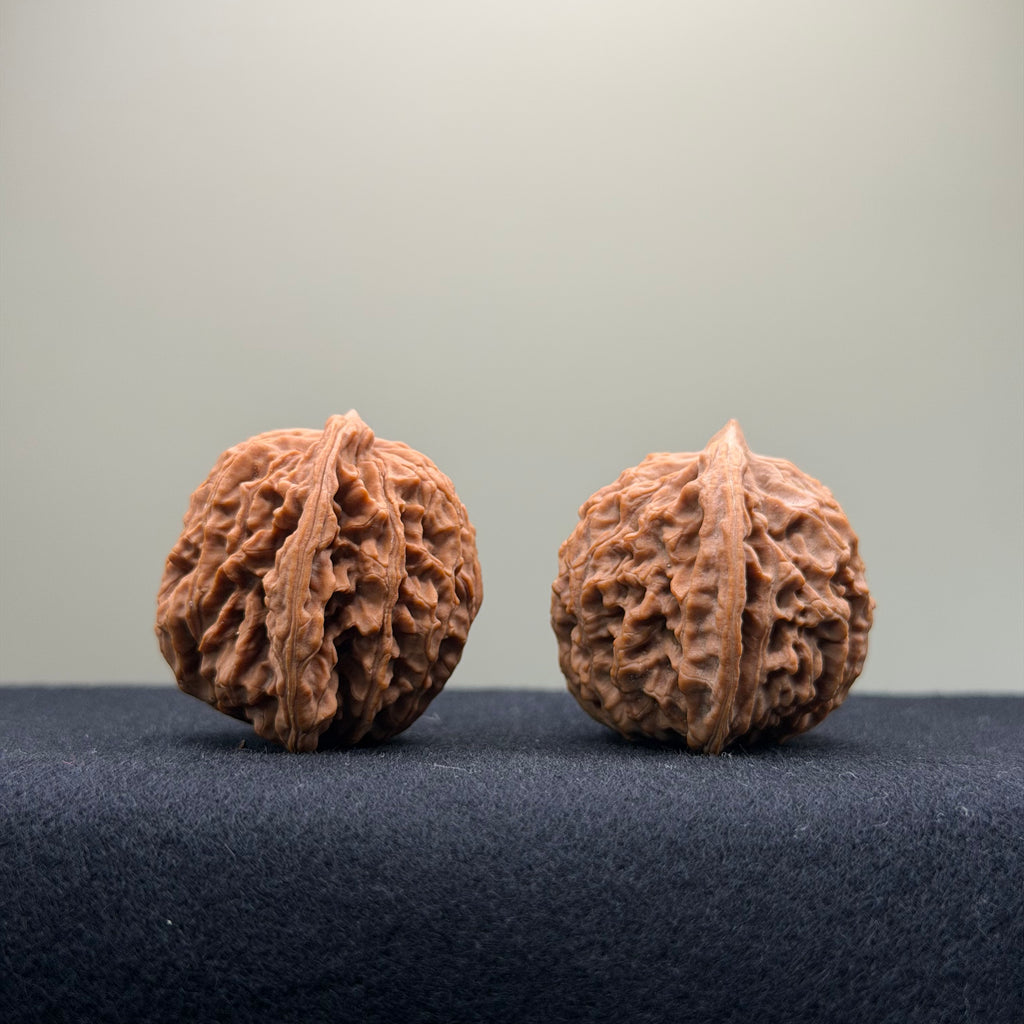 Coiled Dragon Pattern Wenwan Walnut · 37mm · Natural · Entry Ritual