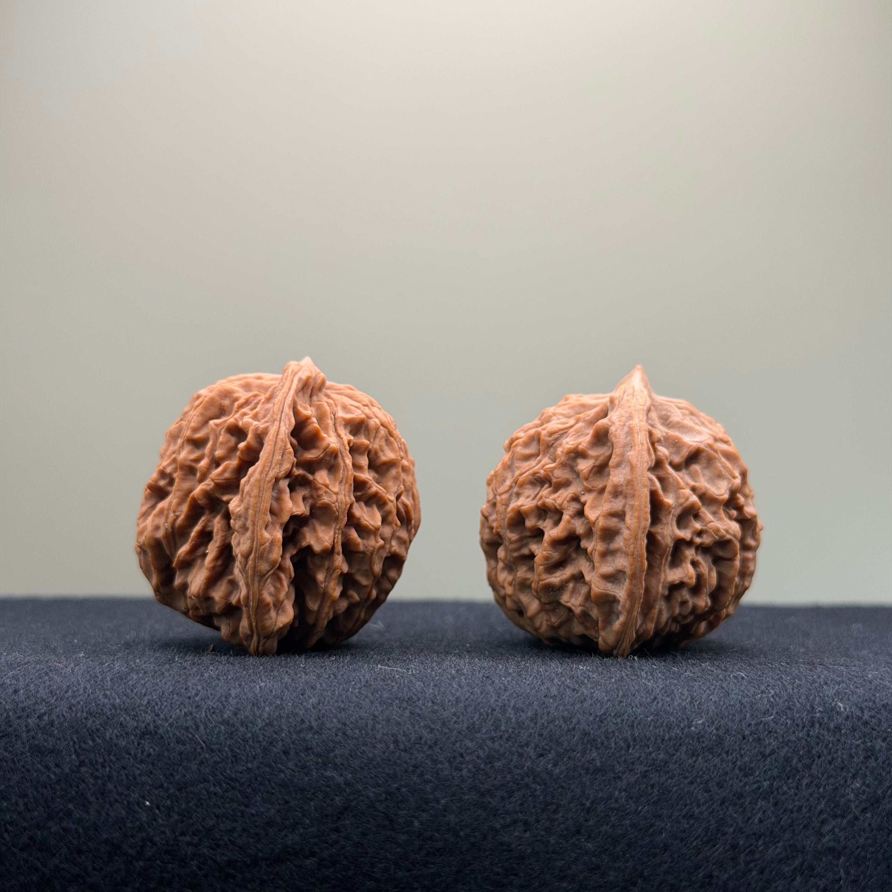 Coiled Dragon Pattern Wenwan Walnut · 37mm · Natural · Entry Ritual