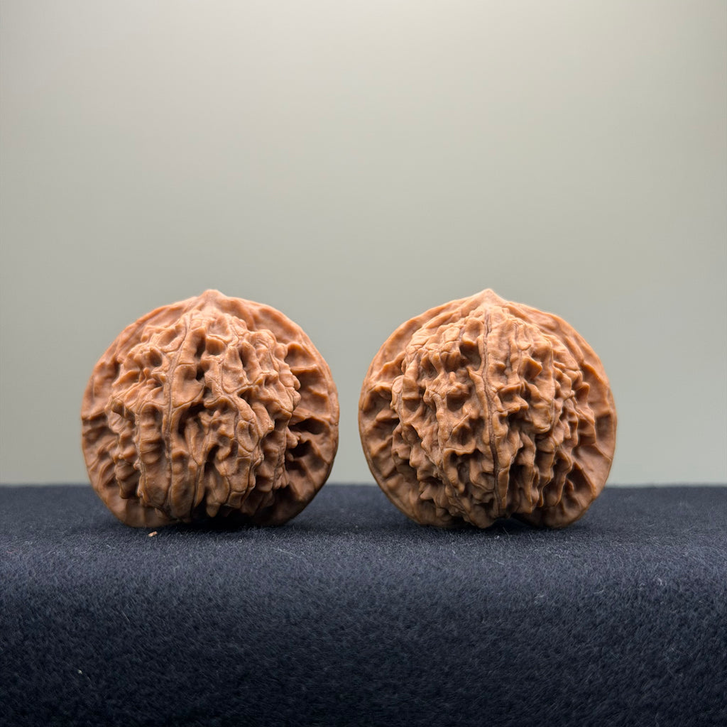 Coiled Dragon Pattern Wenwan Walnut · 37mm · Natural · Entry Ritual