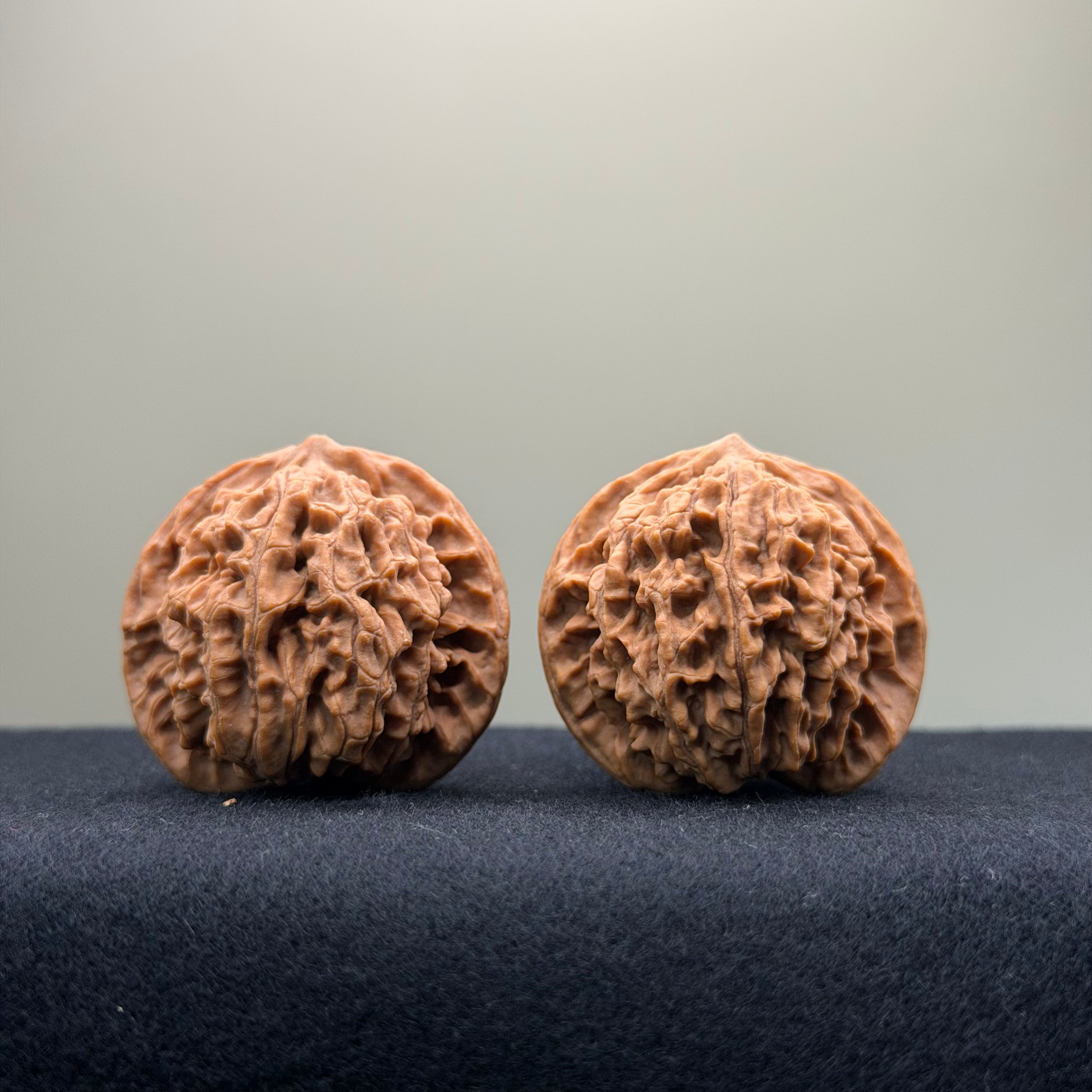 Coiled Dragon Pattern Wenwan Walnut · 37mm · Natural · Entry Ritual