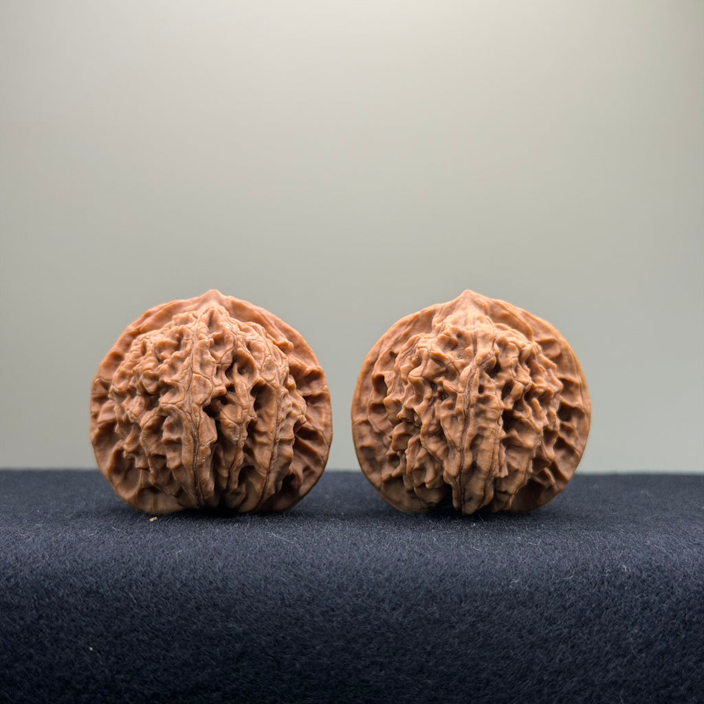 Coiled Dragon Pattern Wenwan Walnut · 37mm · Natural · Entry Ritual