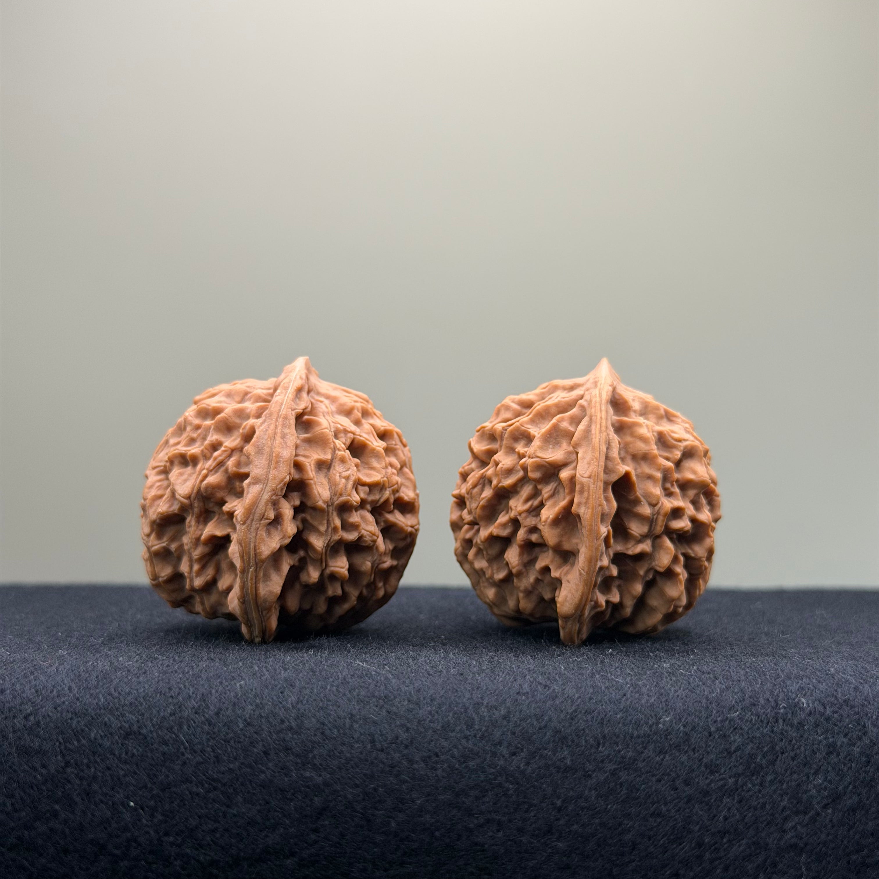 Coiled Dragon Pattern Wenwan Walnut · 37mm · Natural · Entry Ritual