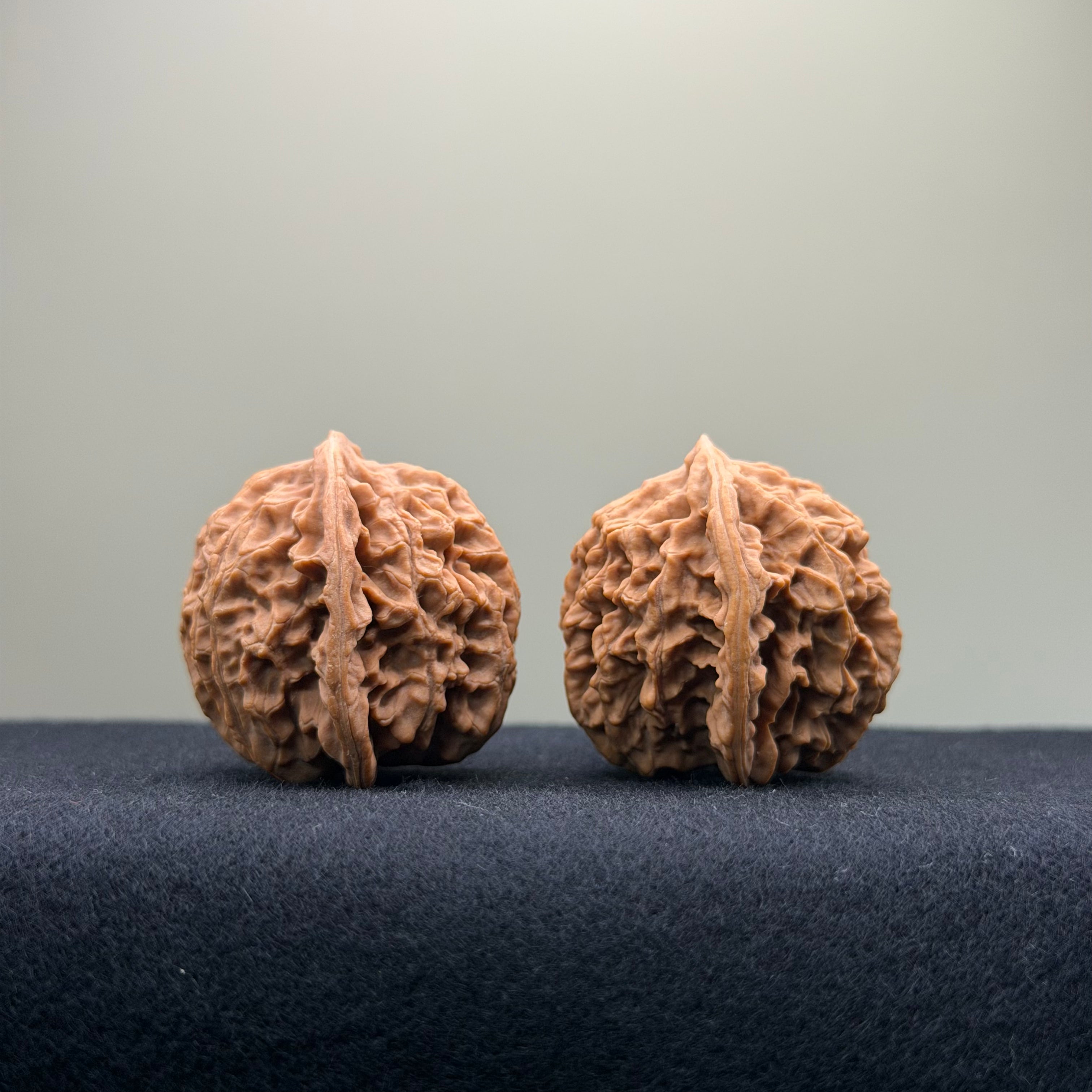 Coiled Dragon Pattern Wenwan Walnut · 37mm · Natural · Entry Ritual