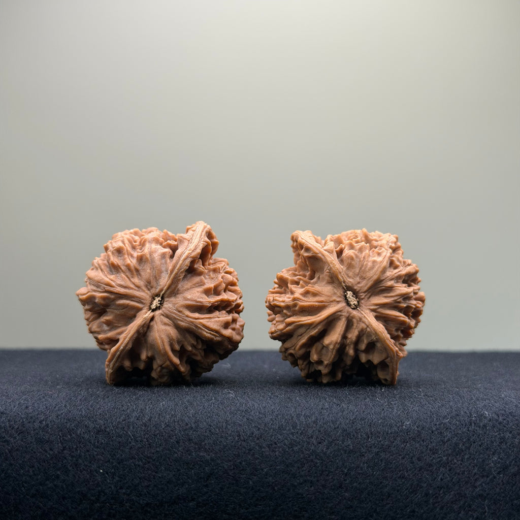 Coiled Dragon Pattern Wenwan Walnut · 37mm · Natural · Entry Ritual