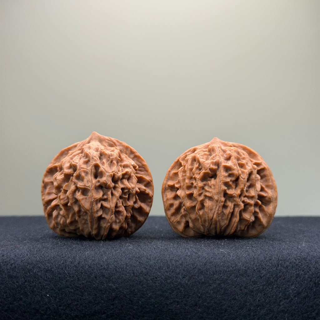 Coiled Dragon Pattern Wenwan Walnut · 38mm · Natural · Entry Ritual