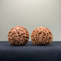 Coiled Dragon Pattern Wenwan Walnut · 38mm · Natural · Entry Ritual