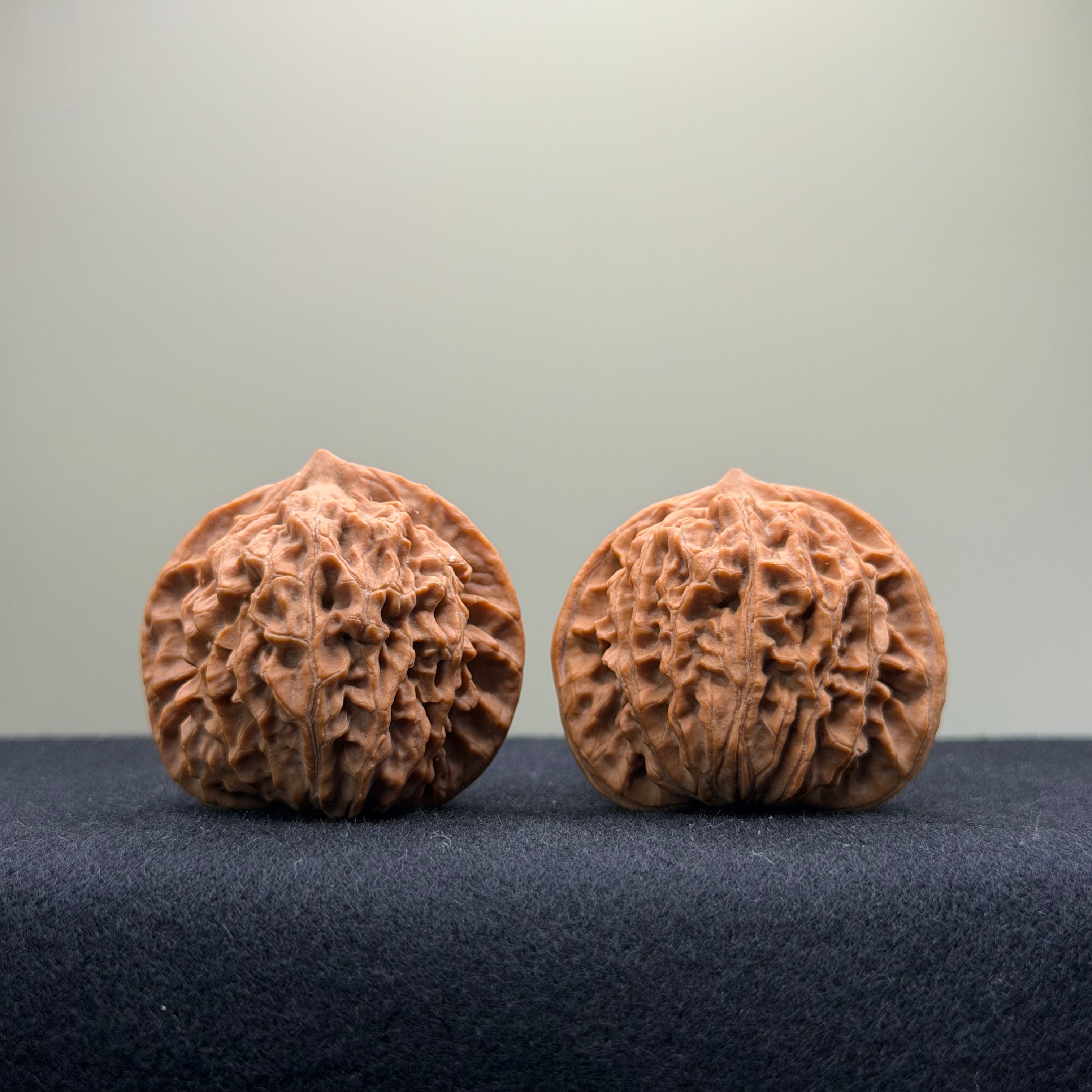 Coiled Dragon Pattern Wenwan Walnut · 38mm · Natural · Entry Ritual