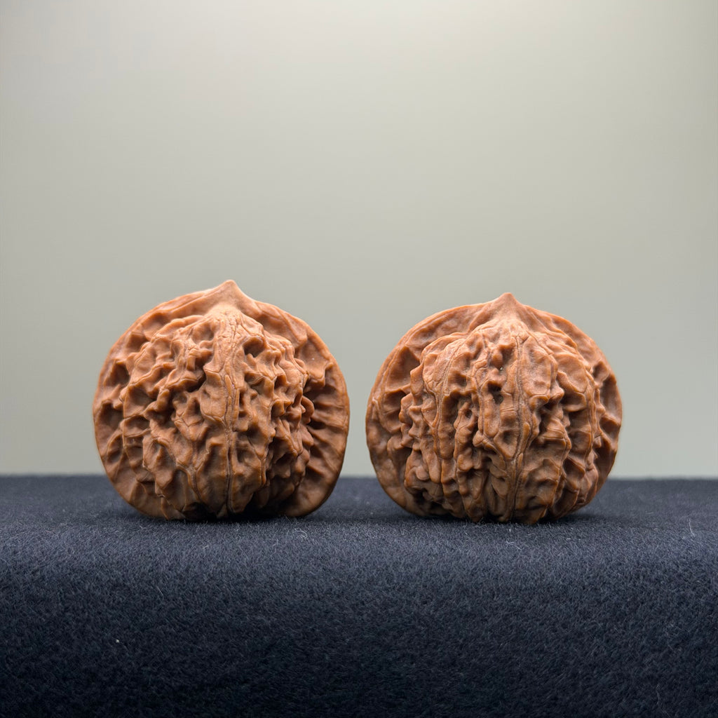 Coiled Dragon Pattern Wenwan Walnut · 38mm · Natural · Entry Ritual