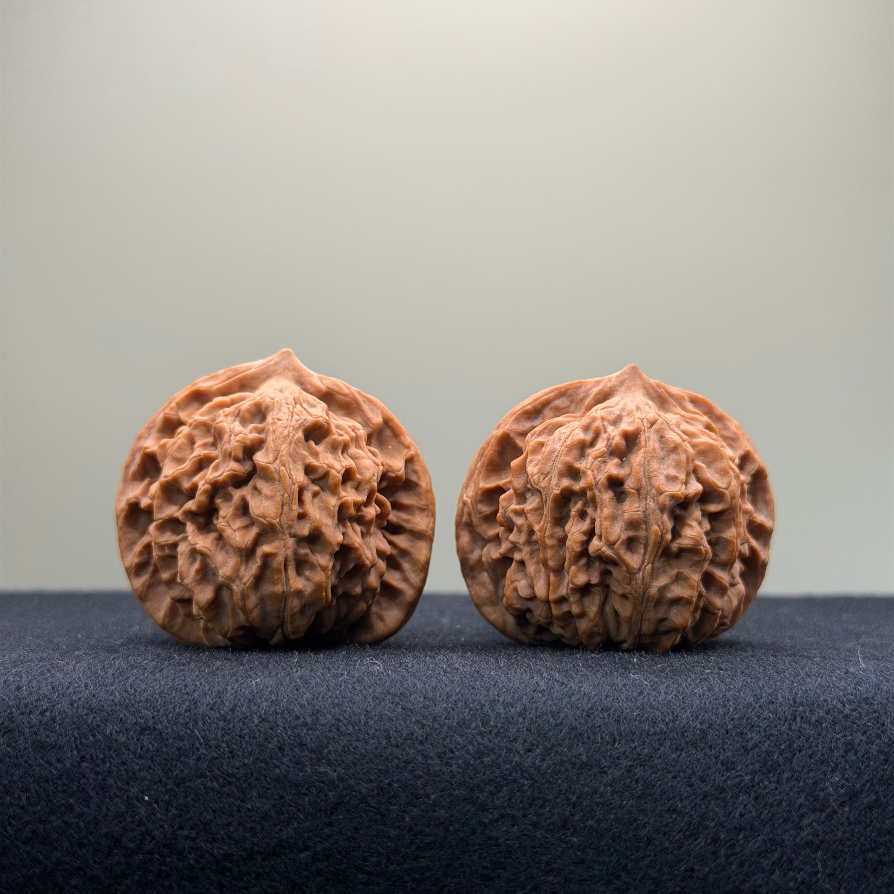 Coiled Dragon Pattern Wenwan Walnut · 38mm · Natural · Entry Ritual