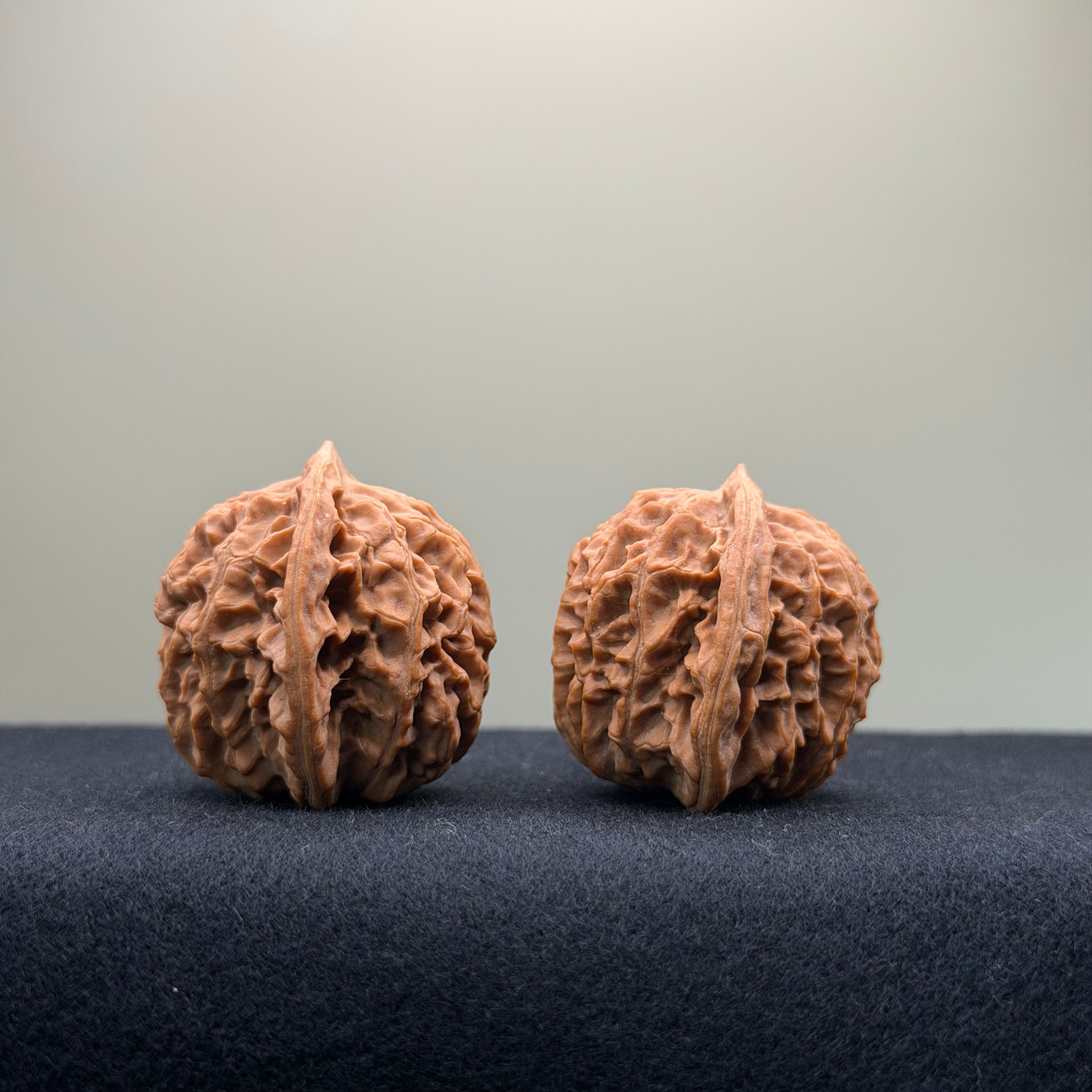 Coiled Dragon Pattern Wenwan Walnut · 38mm · Natural · Entry Ritual
