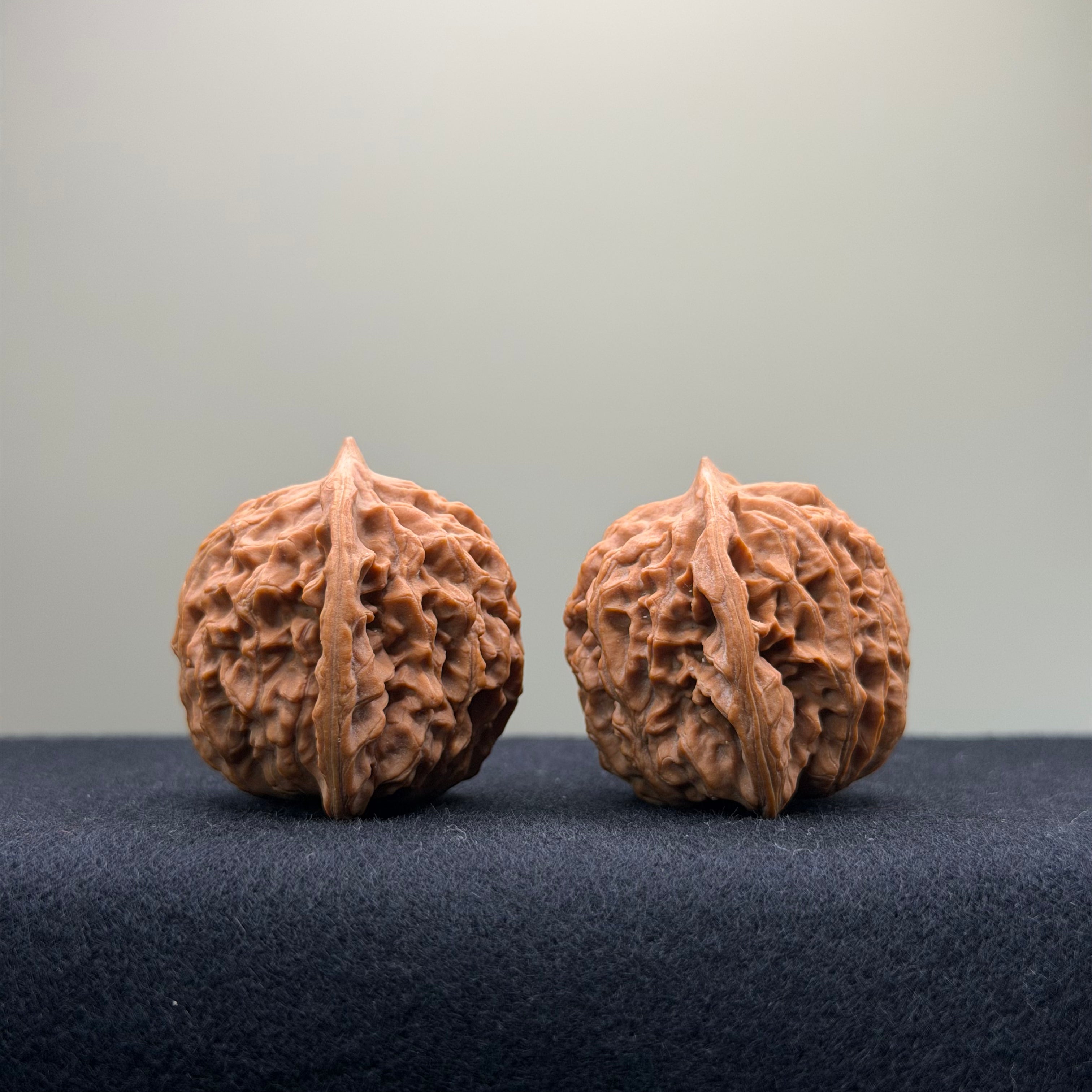 Coiled Dragon Pattern Wenwan Walnut · 38mm · Natural · Entry Ritual