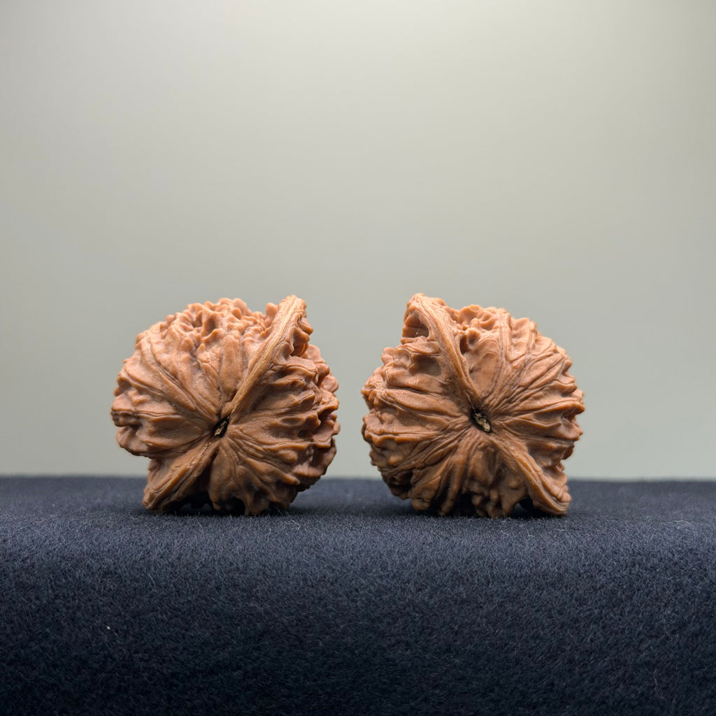 Coiled Dragon Pattern Wenwan Walnut · 38mm · Natural · Entry Ritual