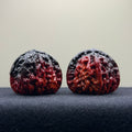 Ghost Rider White Lion Head Wenwan Walnut · 38mm · Select Ritual