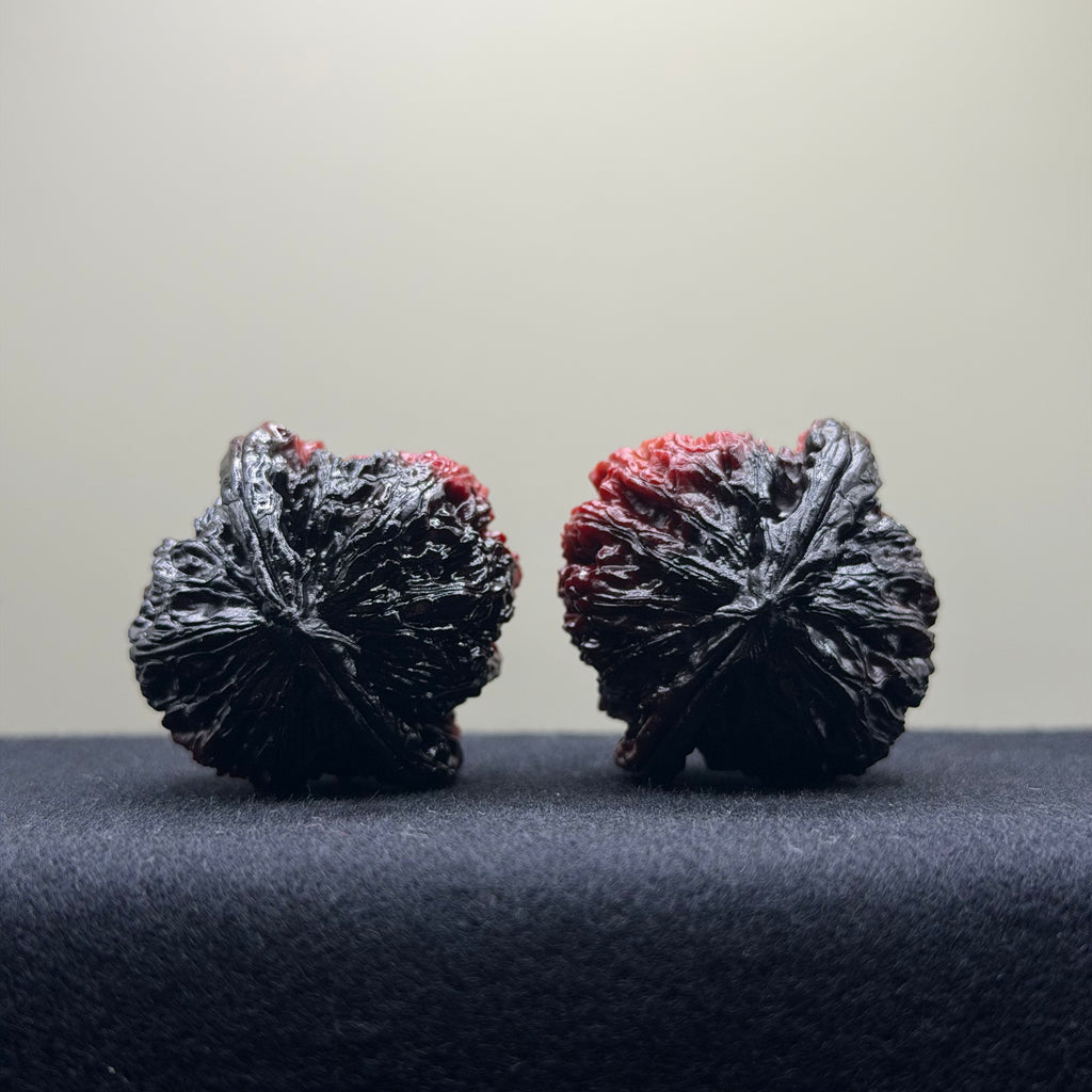 Ghost Rider White Lion Head Wenwan Walnut · 38mm · Select Ritual