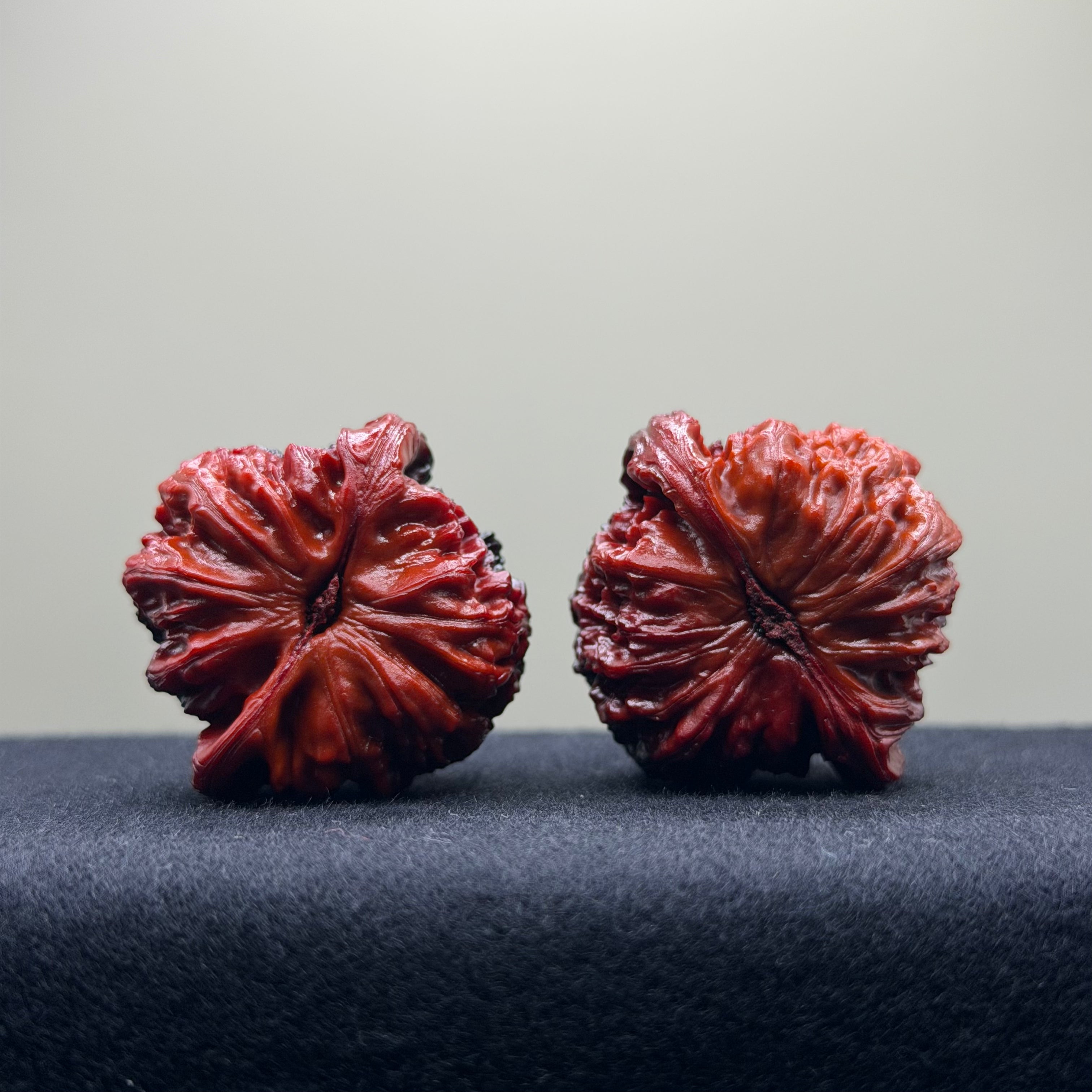 Ghost Rider White Lion Head Wenwan Walnut · 38mm · Select Ritual