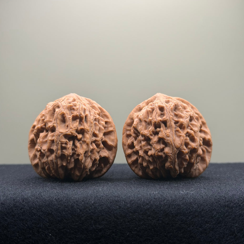 Dragon Vein Wenwan Walnut · 41mm · Natural · Premium Ritual