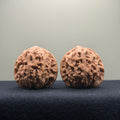 Dragon Vein Wenwan Walnut · 41mm · Natural · Premium Ritual
