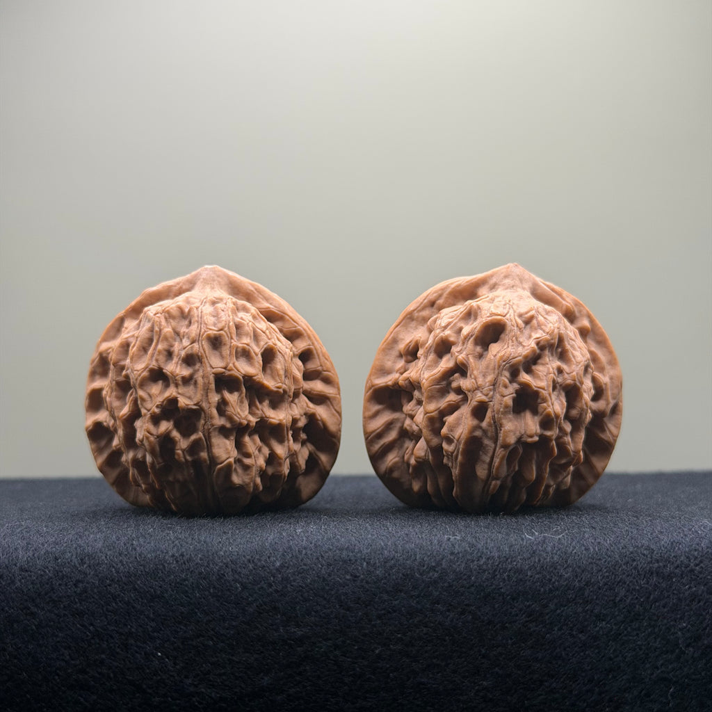 Dragon Vein Wenwan Walnut · 41mm · Natural · Premium Ritual