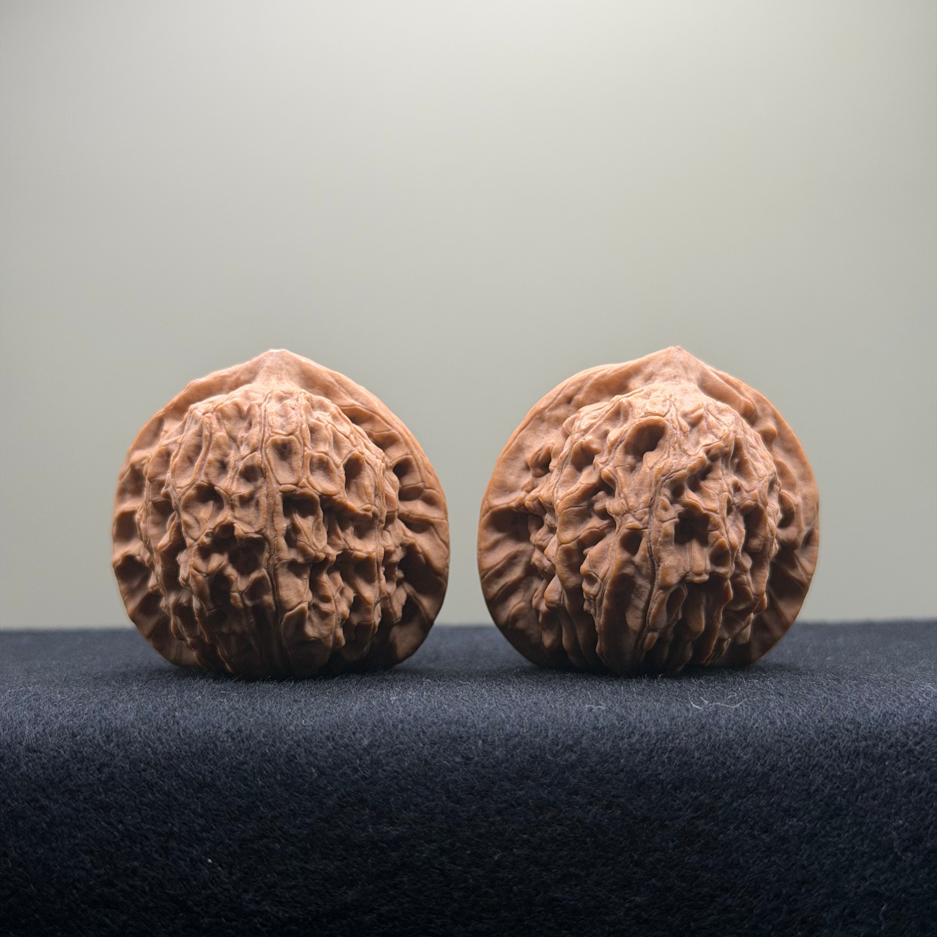Dragon Vein Wenwan Walnut · 41mm · Natural · Premium Ritual