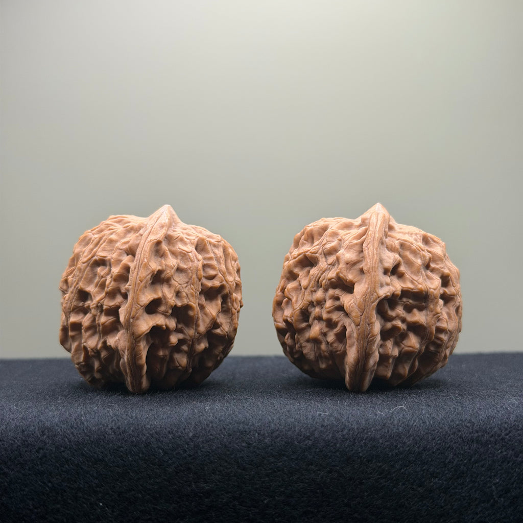 Dragon Vein Wenwan Walnut · 41mm · Natural · Premium Ritual