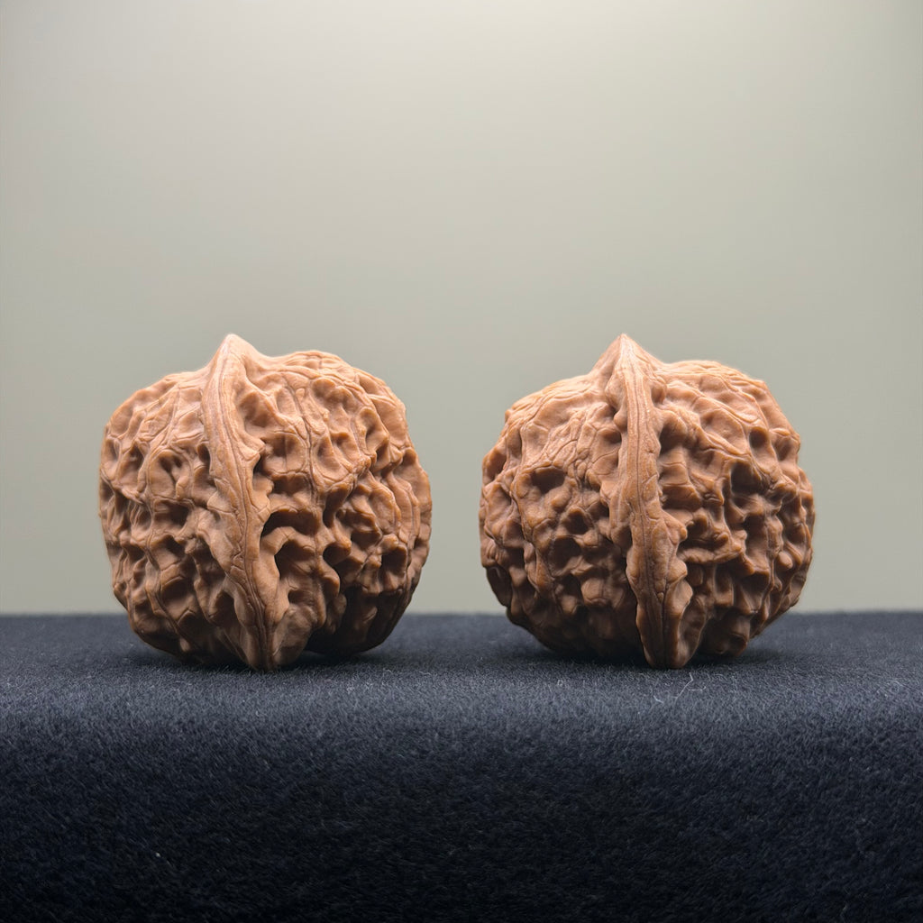 Dragon Vein Wenwan Walnut · 41mm · Natural · Premium Ritual