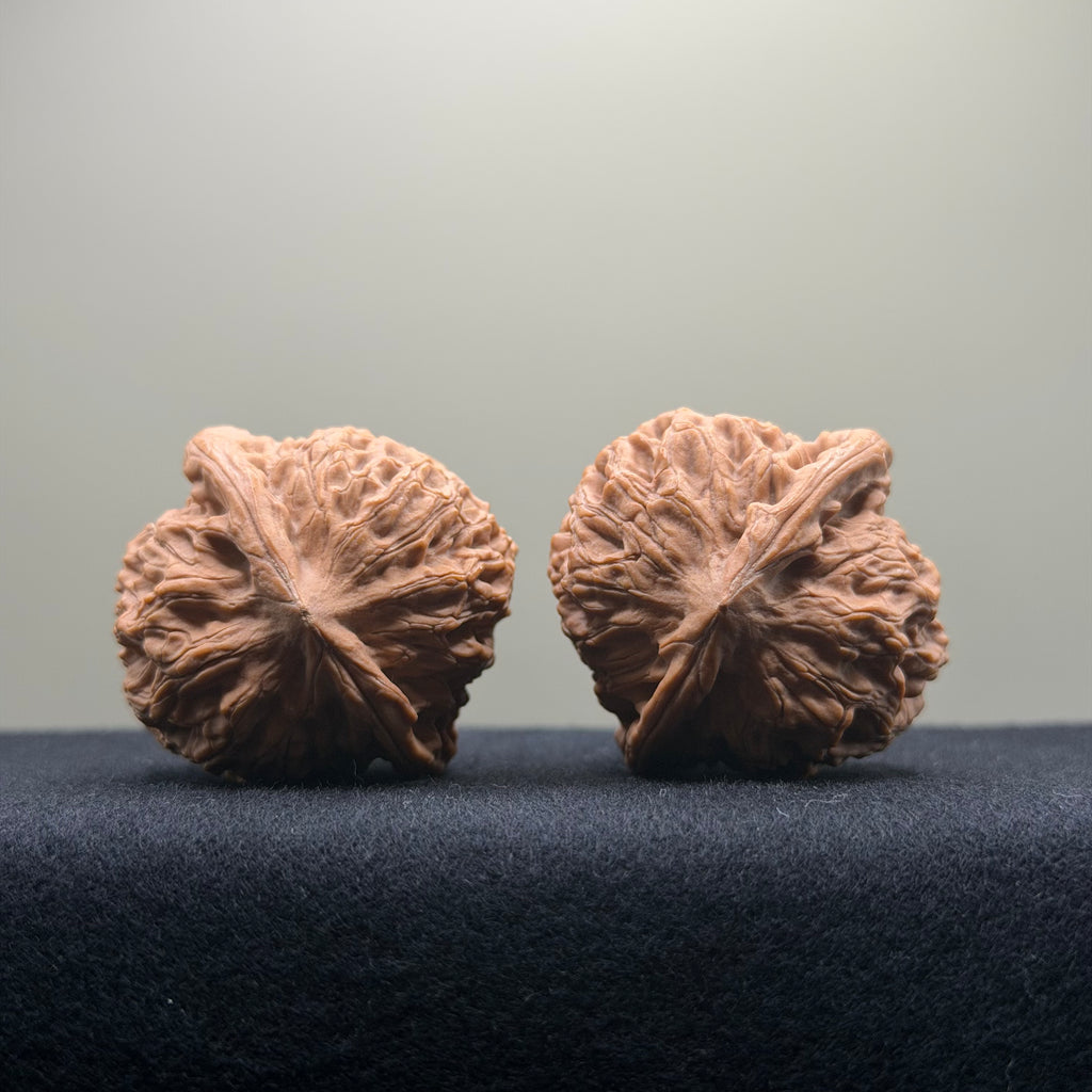 Dragon Vein Wenwan Walnut · 41mm · Natural · Premium Ritual