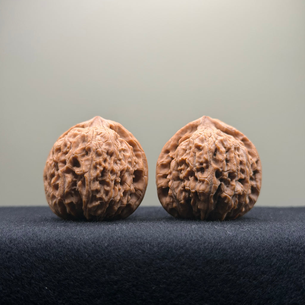 Black Diamond Wenwan Walnut · 36mm · Natural · Premium Ritual
