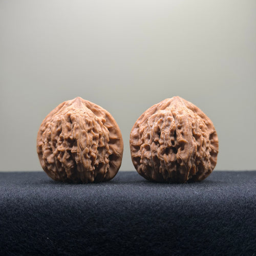 Black Diamond Wenwan Walnut · 36mm · Natural · Premium Ritual