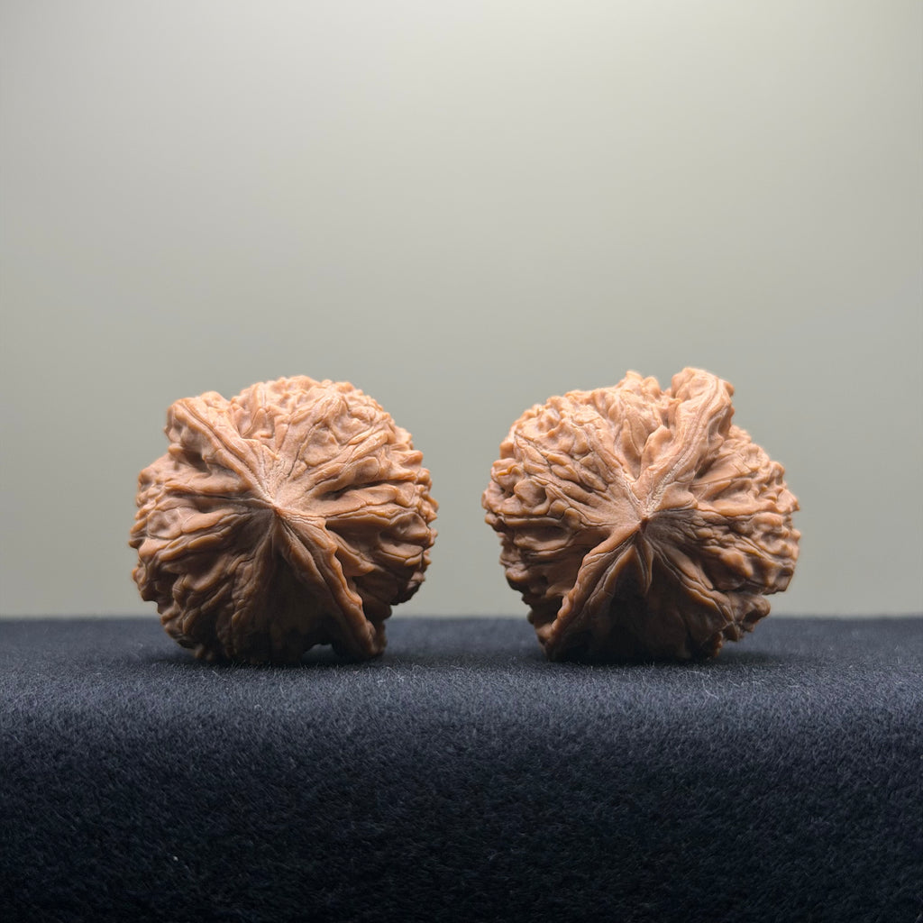 Black Diamond Wenwan Walnut · 36mm · Natural · Premium Ritual