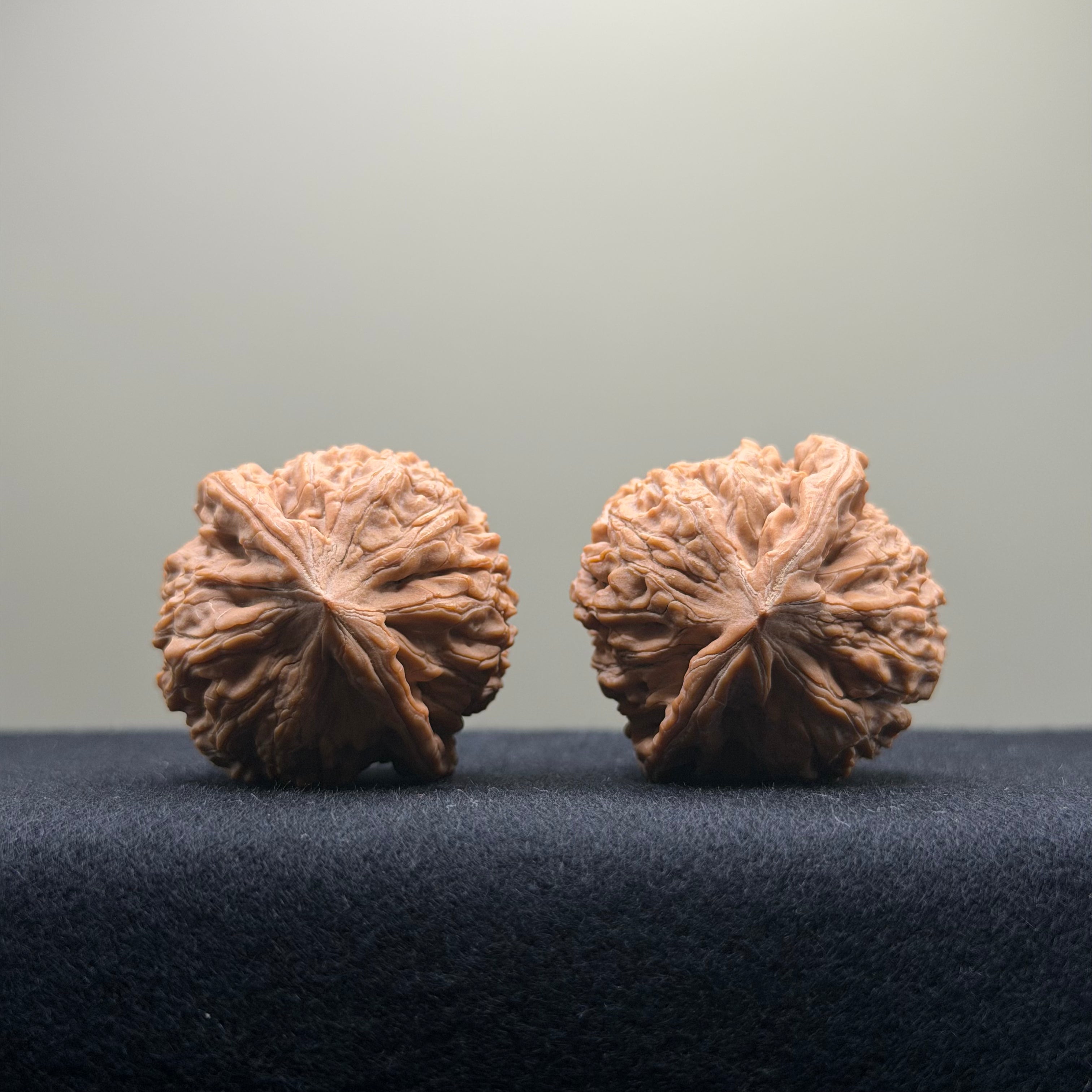 Black Diamond Wenwan Walnut · 36mm · Natural · Premium Ritual