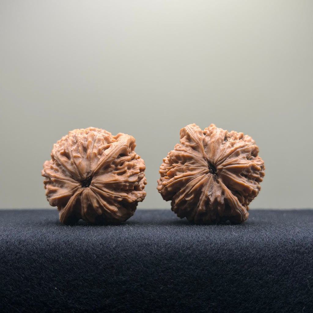 Black Diamond Wenwan Walnut · 36mm · Natural · Premium Ritual