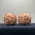 Blood Kirin Wenwan Walnut · 40mm · Entry Ritual