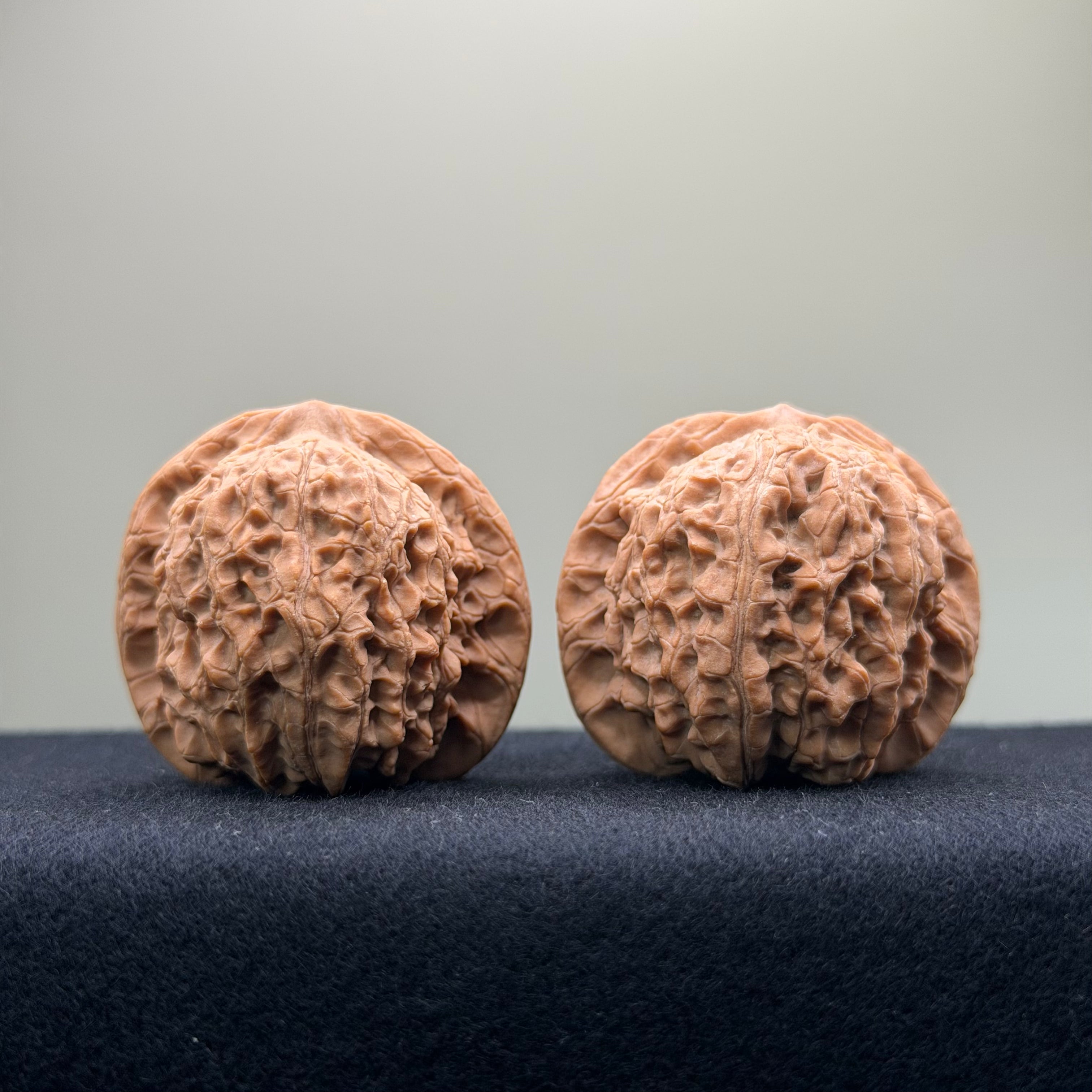 Blood Kirin Wenwan Walnut · 40mm · Entry Ritual