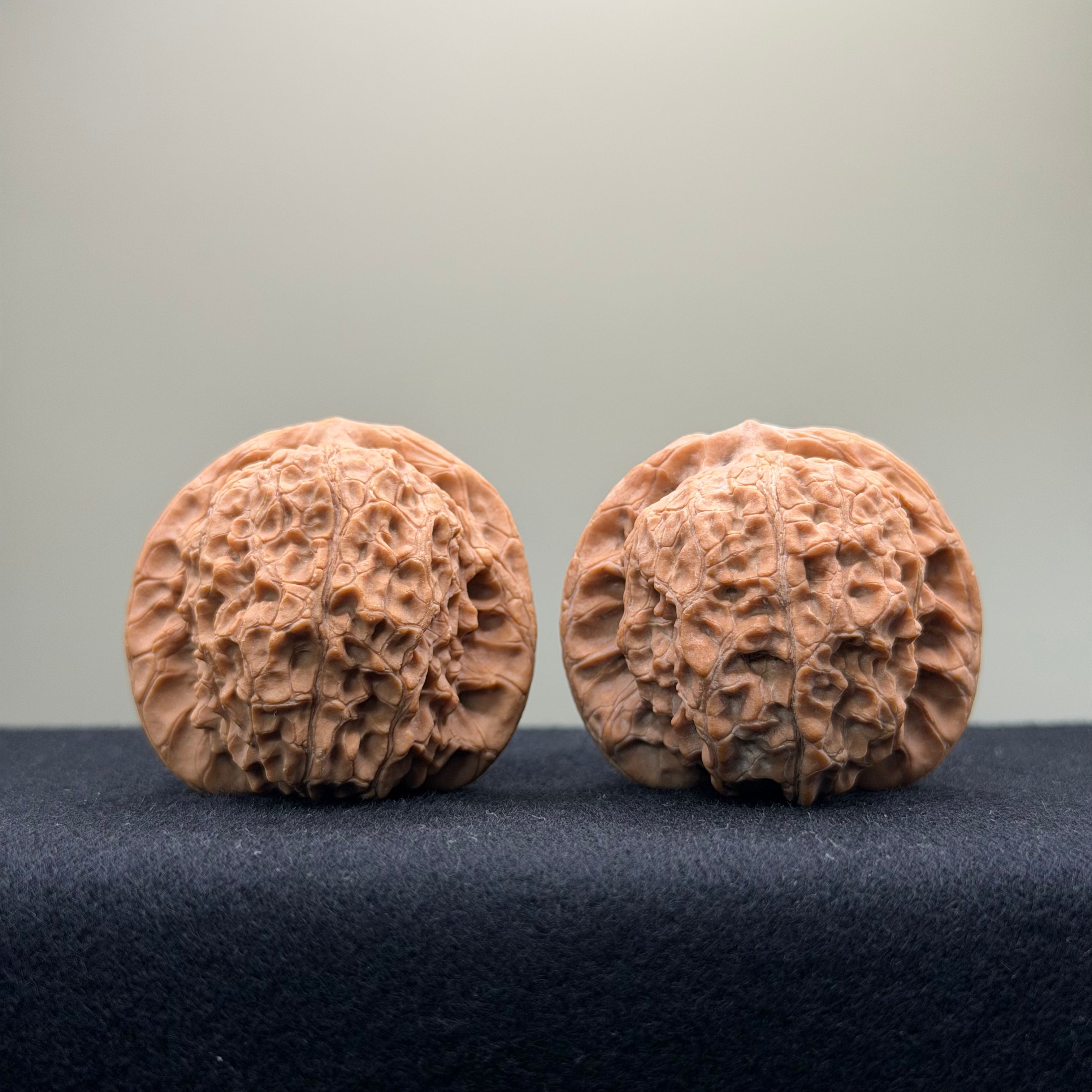 Blood Kirin Wenwan Walnut · 40mm · Entry Ritual