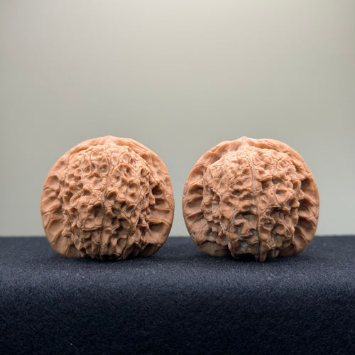 Blood Kirin Wenwan Walnut · 40mm · Entry Ritual