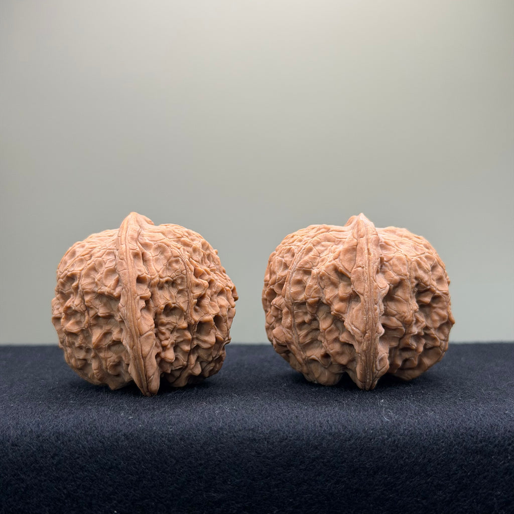 Blood Kirin Wenwan Walnut · 40mm · Entry Ritual