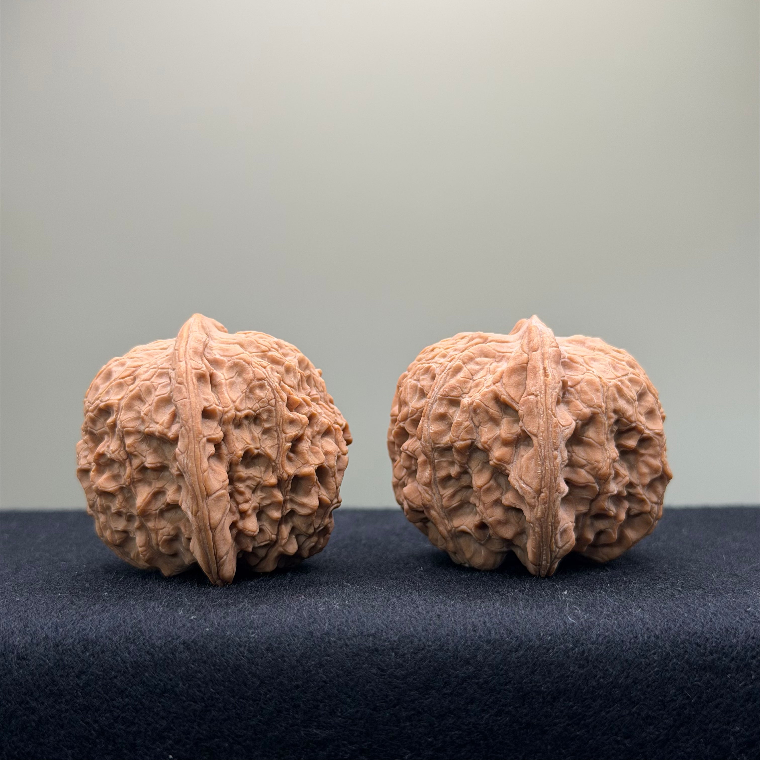 Blood Kirin Wenwan Walnut · 40mm · Entry Ritual