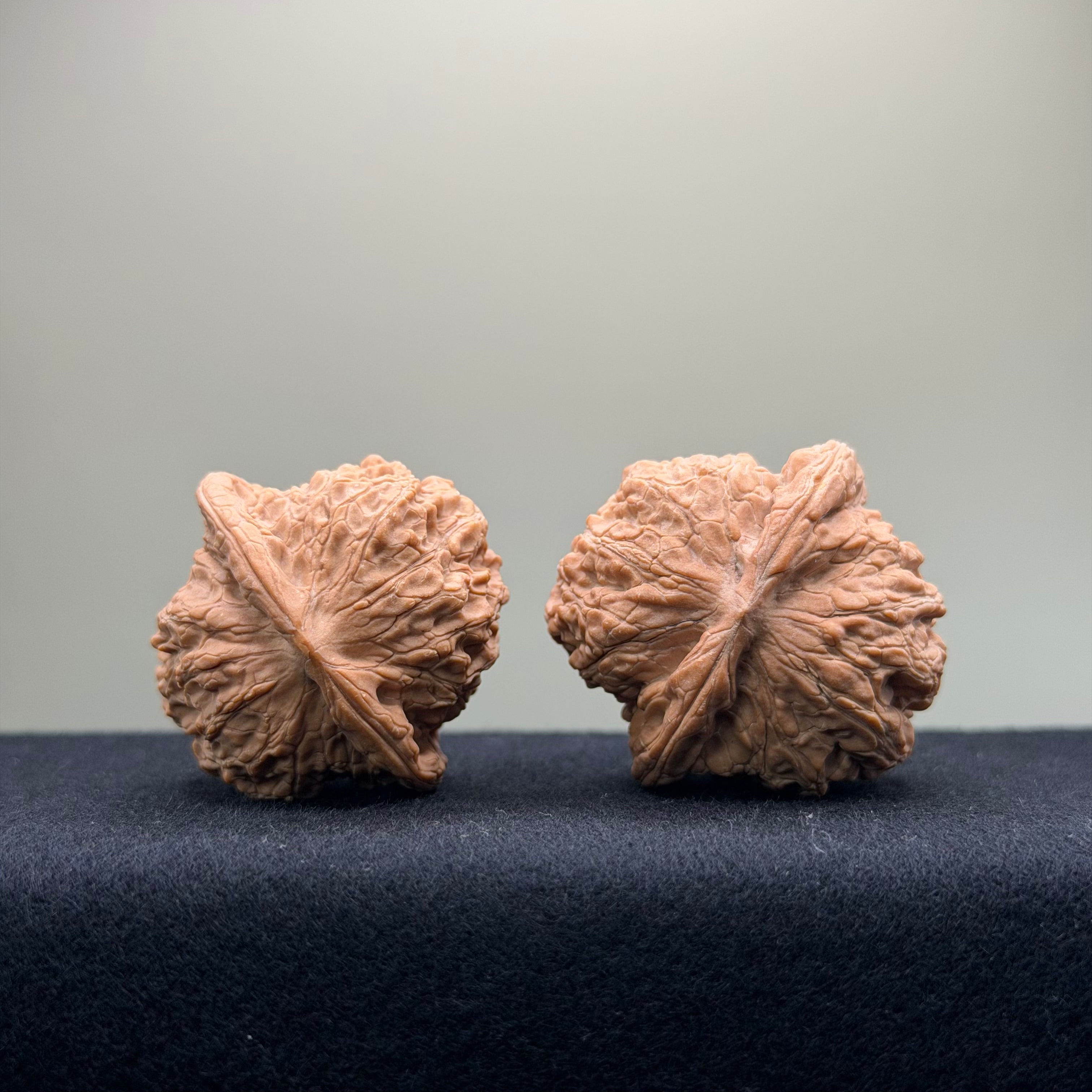 Blood Kirin Wenwan Walnut · 40mm · Entry Ritual
