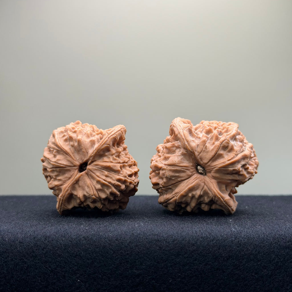 Blood Kirin Wenwan Walnut · 40mm · Entry Ritual