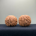 Blood Kirin Wenwan Walnut · 40mm · Entry Ritual
