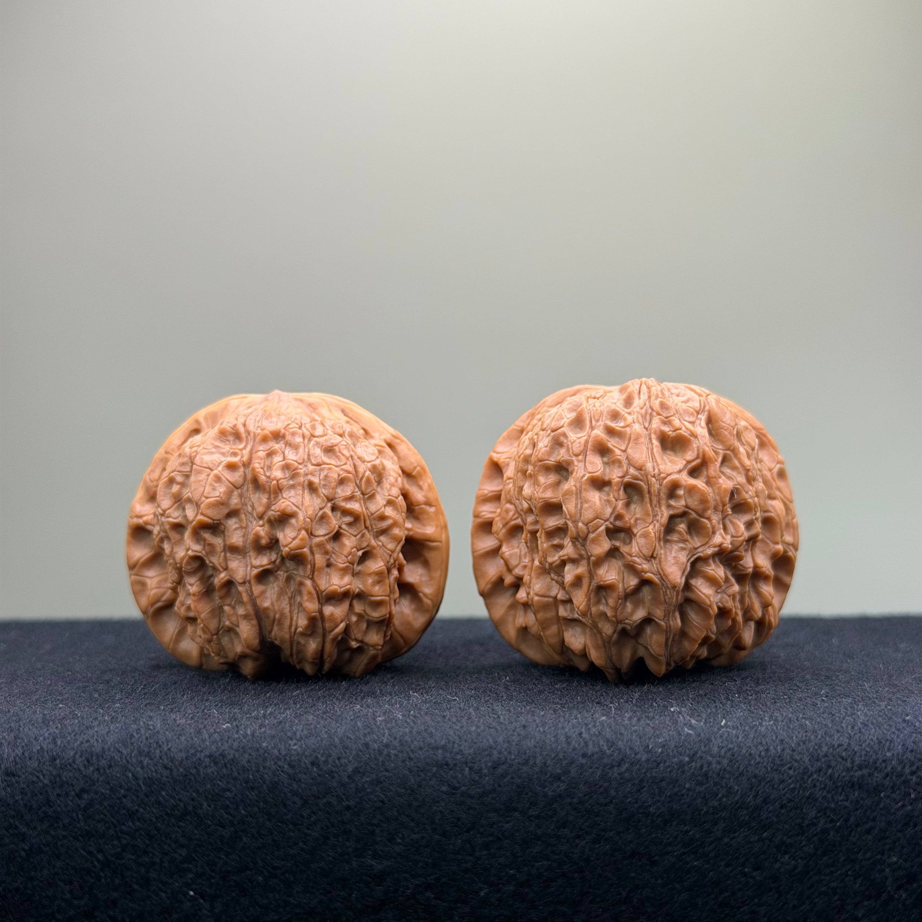 Blood Kirin Wenwan Walnut · 40mm · Entry Ritual