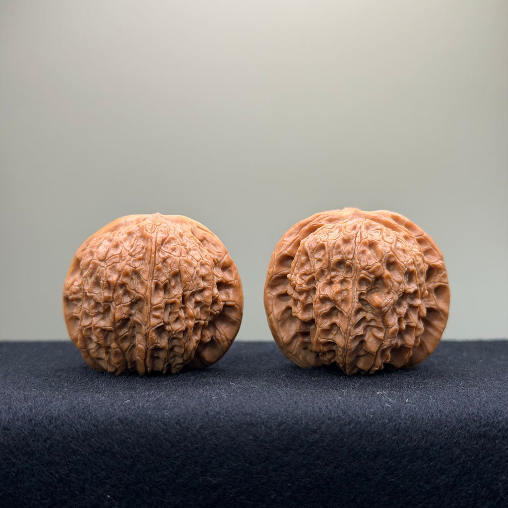Blood Kirin Wenwan Walnut · 40mm · Entry Ritual