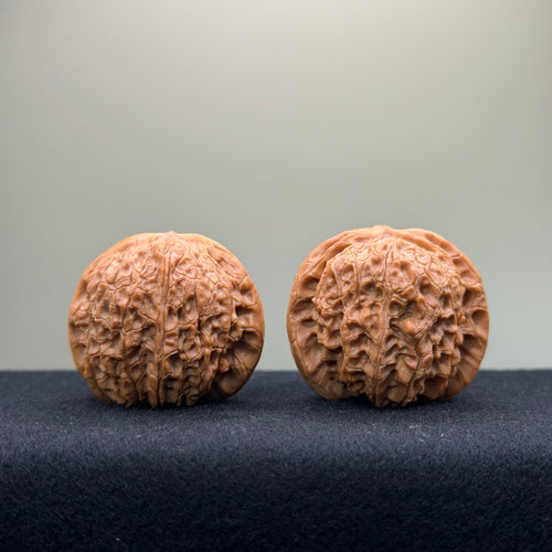 Blood Kirin Wenwan Walnut · 40mm · Entry Ritual