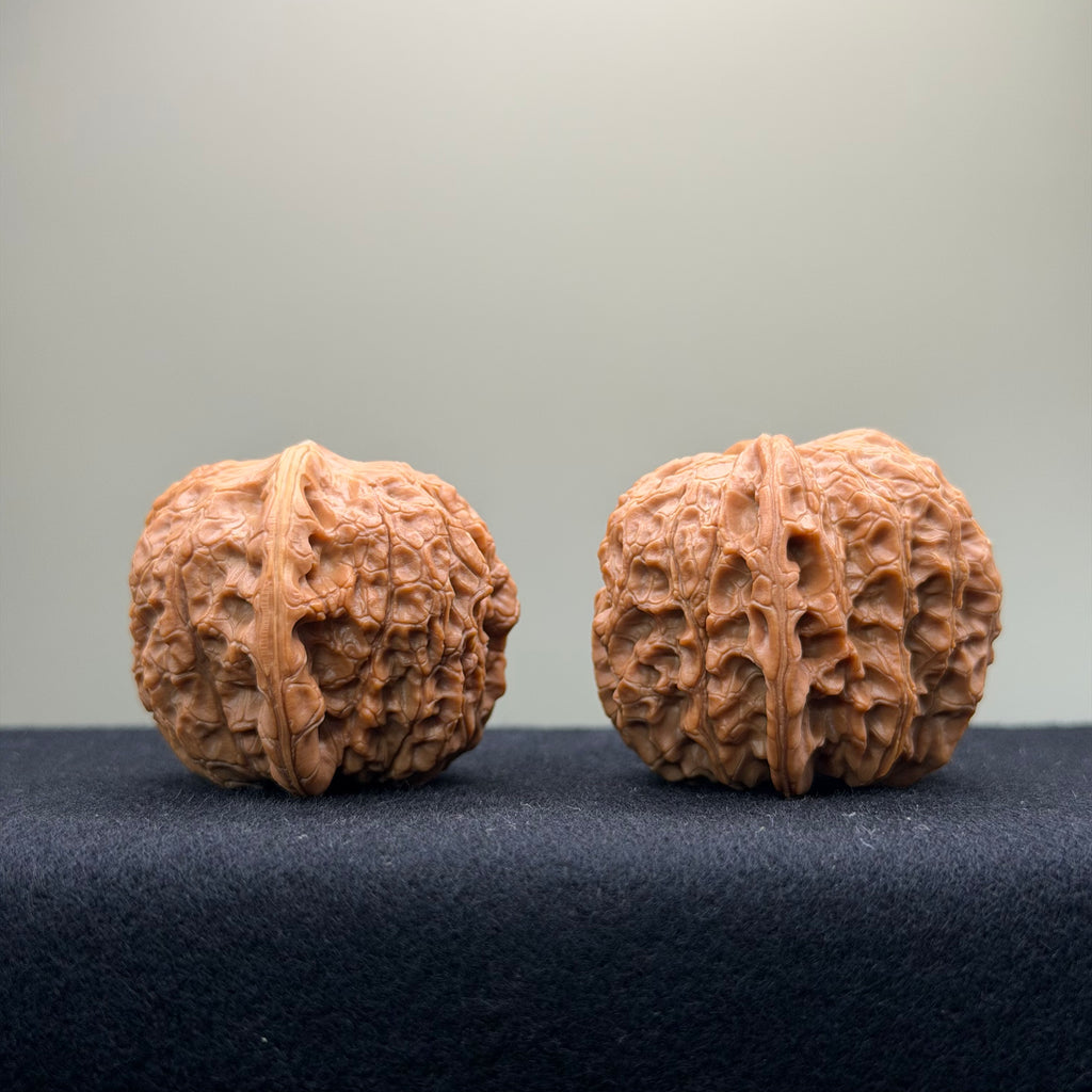 Blood Kirin Wenwan Walnut · 40mm · Entry Ritual