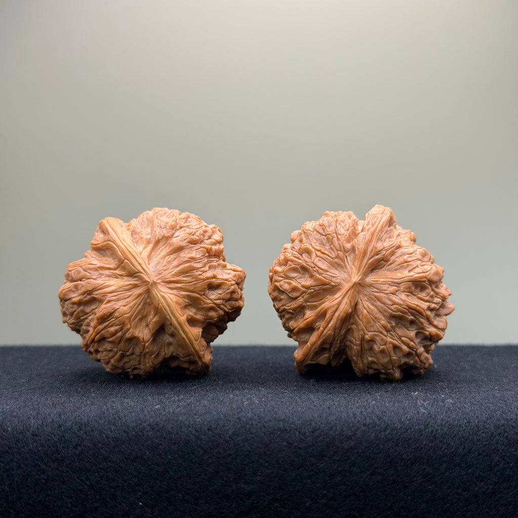 Blood Kirin Wenwan Walnut · 40mm · Entry Ritual